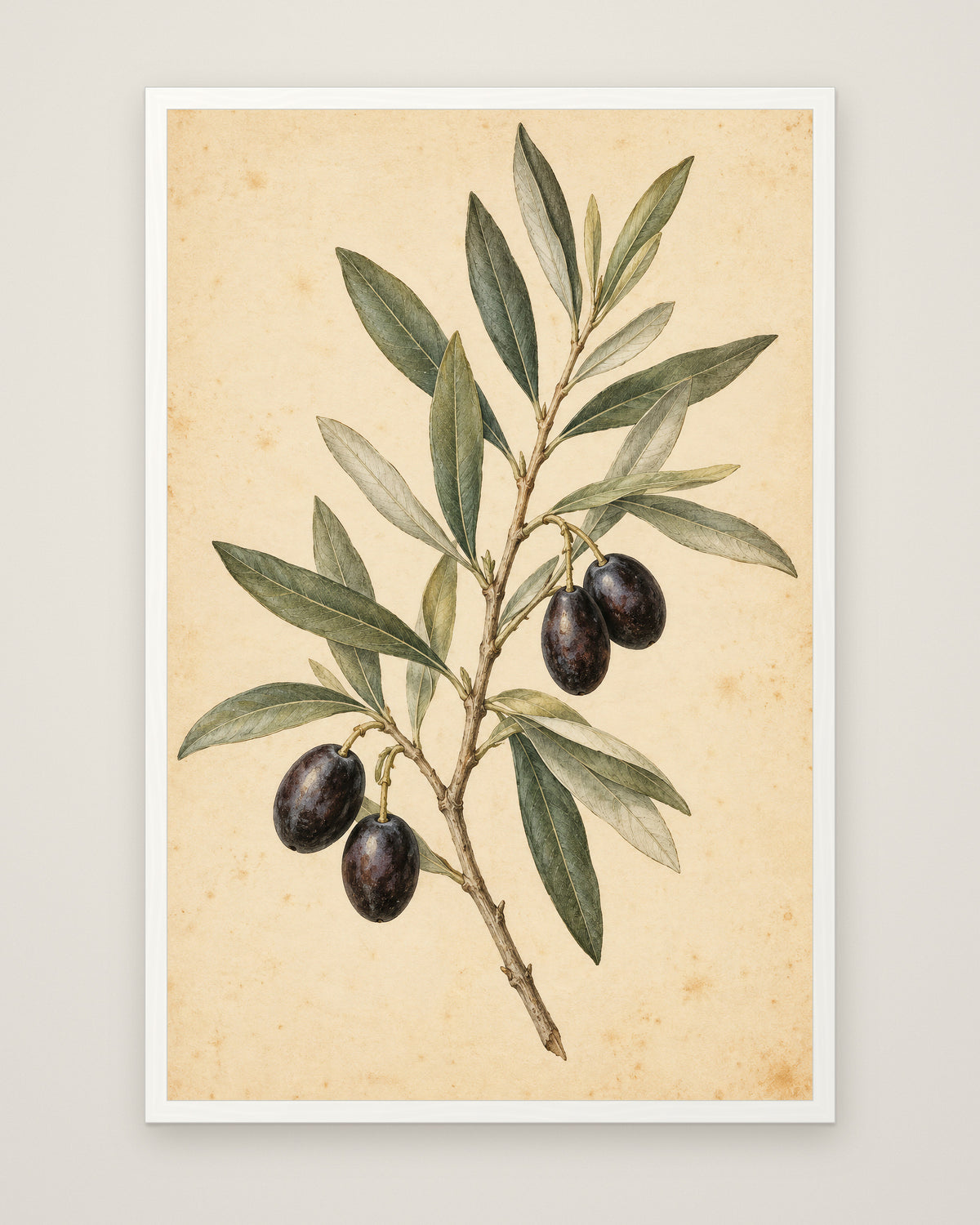 Olive Bough by Clementine Hale, Museum Edition framed edge to edge in a white box frame, 60 × 90 cm and 80 × 120 cm