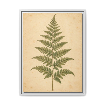 Fern Study · Framed Canvas