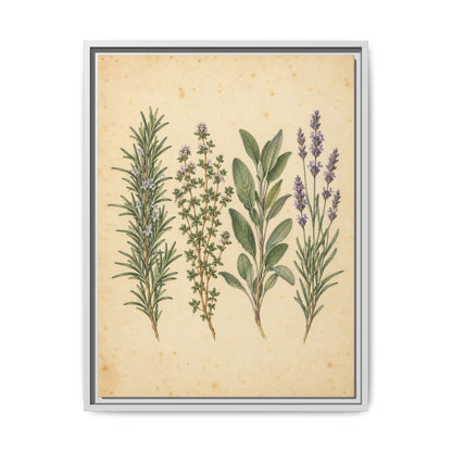 Herb Garden Study · Framed Canvas