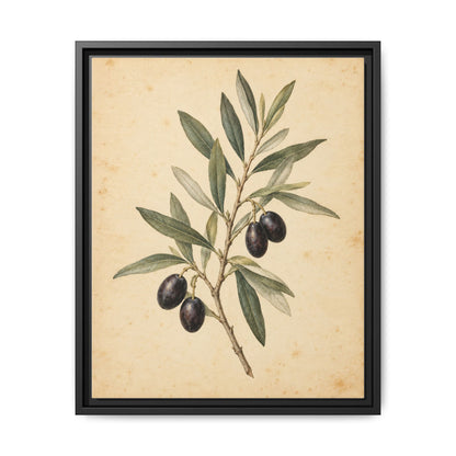 Olive Bough · Framed Canvas
