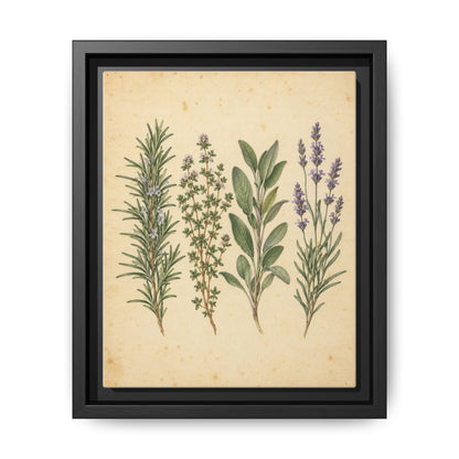 Herb Garden Study · Framed Canvas