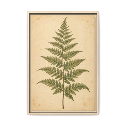 Fern Study · Framed Canvas