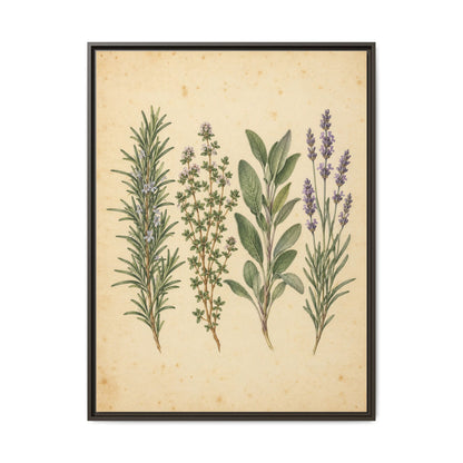 Herb Garden Study · Framed Canvas
