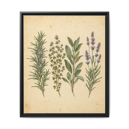 Herb Garden Study · Framed Canvas
