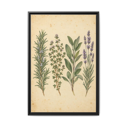 Herb Garden Study · Framed Canvas