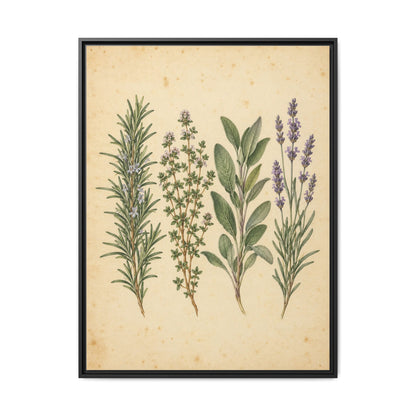 Herb Garden Study · Framed Canvas