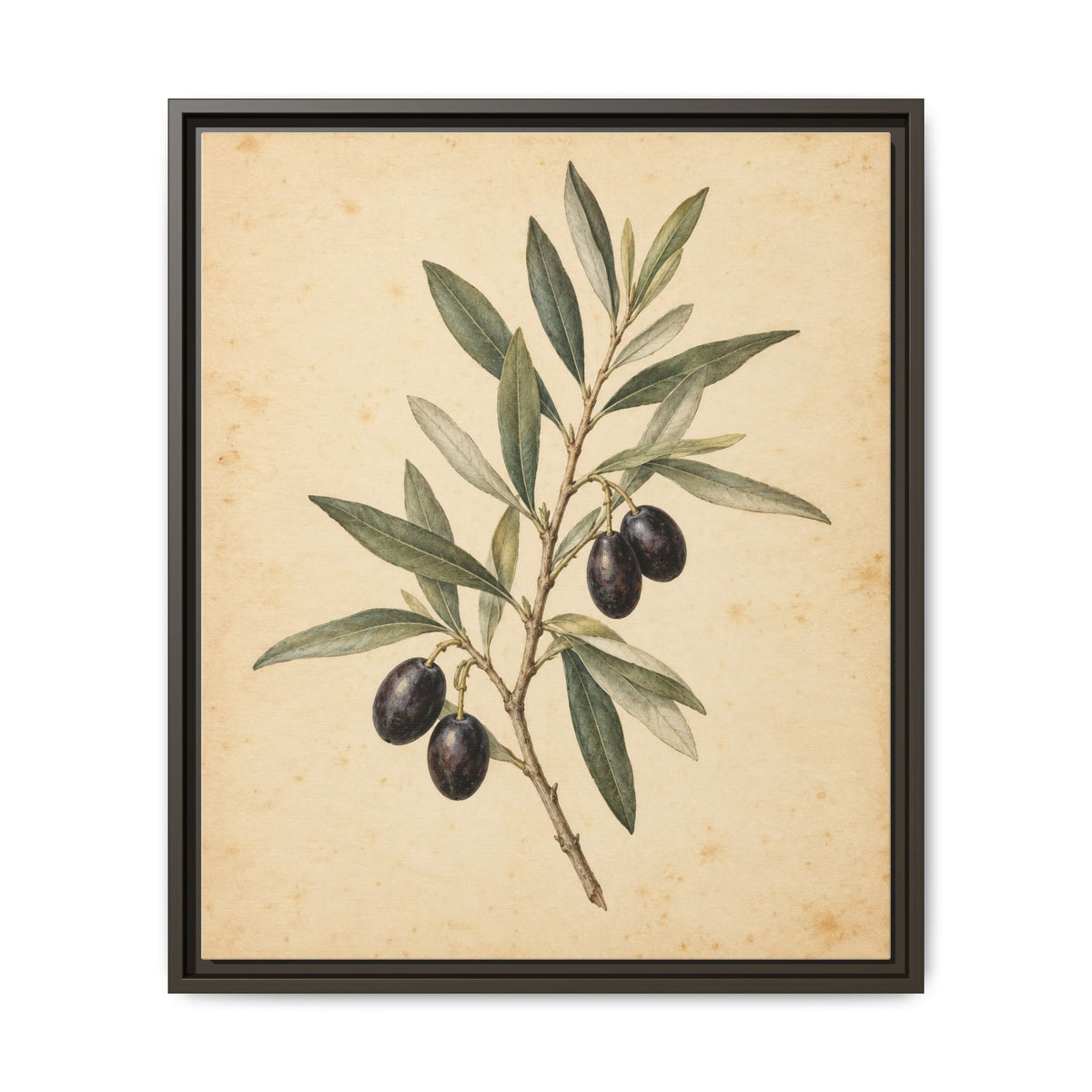 Olive Bough · Framed Canvas