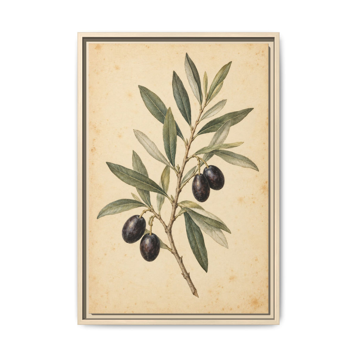 Olive Bough · Framed Canvas