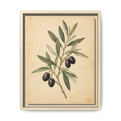 Olive Bough · Framed Canvas