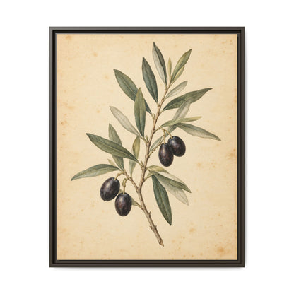 Olive Bough · Framed Canvas