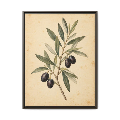 Olive Bough · Framed Canvas