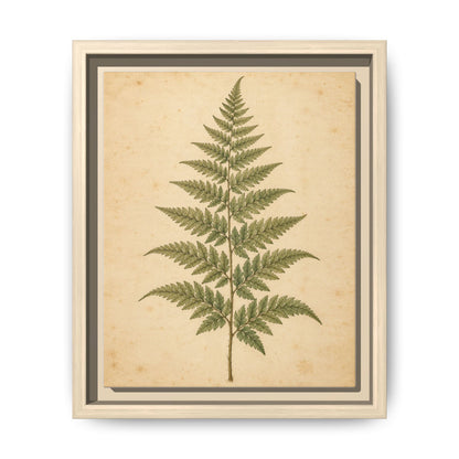 Fern Study · Framed Canvas