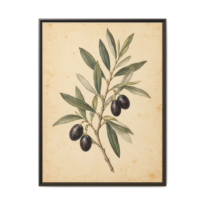 Olive Bough · Framed Canvas