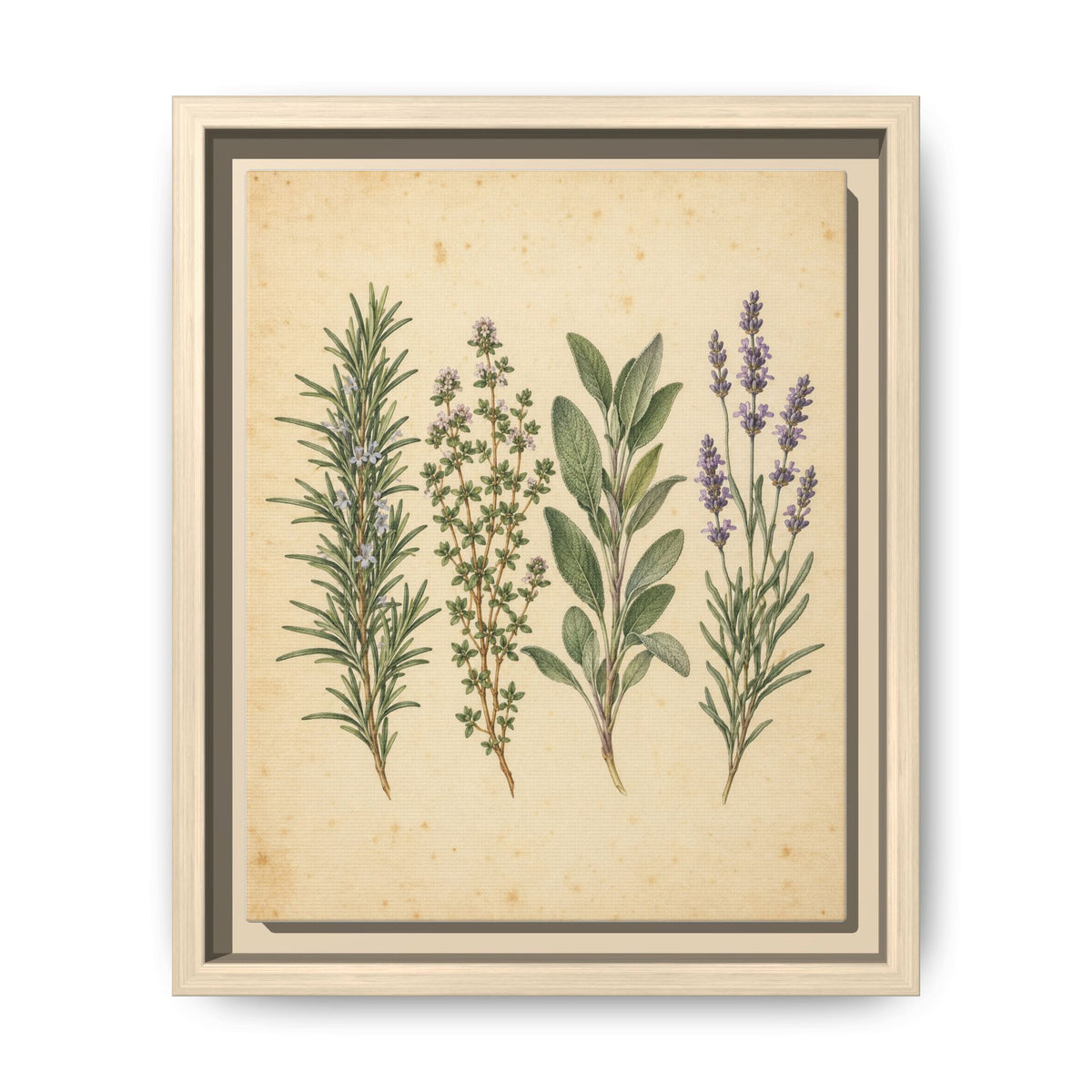 Herb Garden Study · Framed Canvas