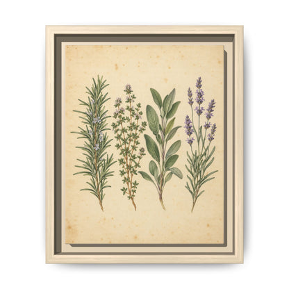 Herb Garden Study · Framed Canvas