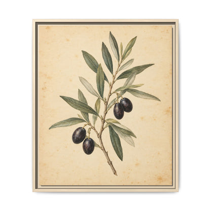 Olive Bough · Framed Canvas