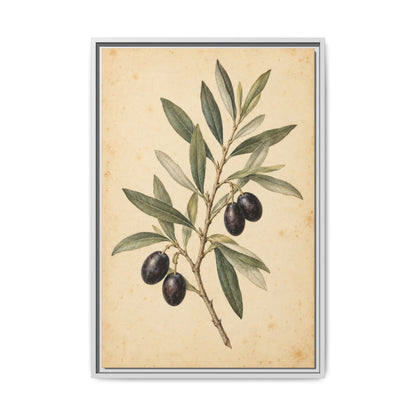 Olive Bough · Framed Canvas