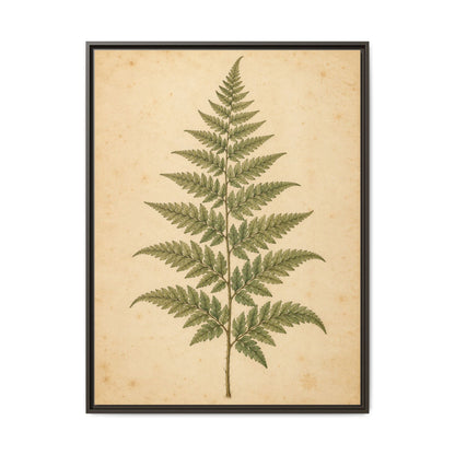Fern Study · Framed Canvas