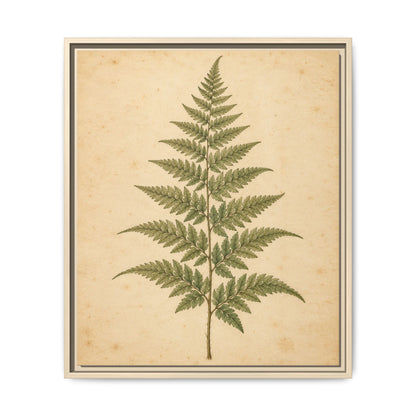 Fern Study · Framed Canvas