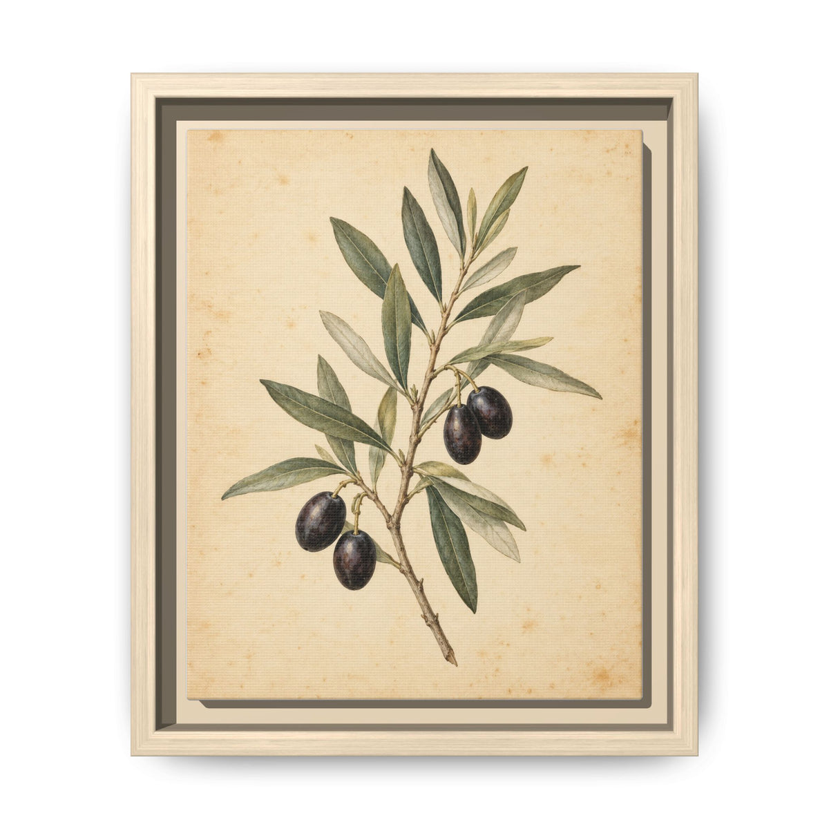 Olive Bough · Framed Canvas
