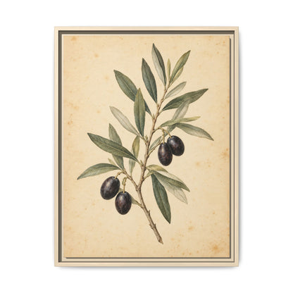 Olive Bough · Framed Canvas
