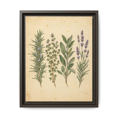 Herb Garden Study · Framed Canvas