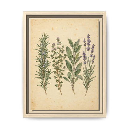 Herb Garden Study · Framed Canvas