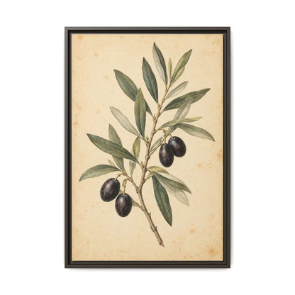 Olive Bough · Framed Canvas