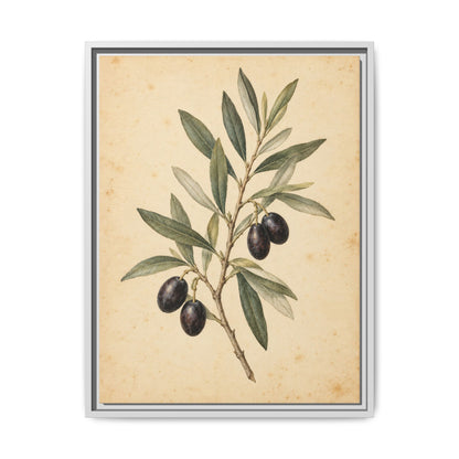 Olive Bough · Framed Canvas