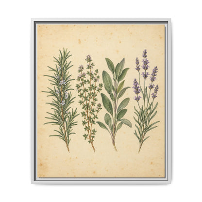 Herb Garden Study · Framed Canvas