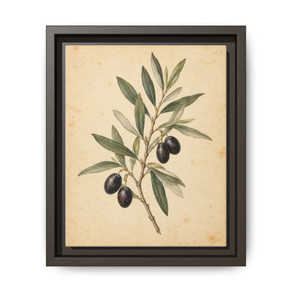 Olive Bough · Framed Canvas