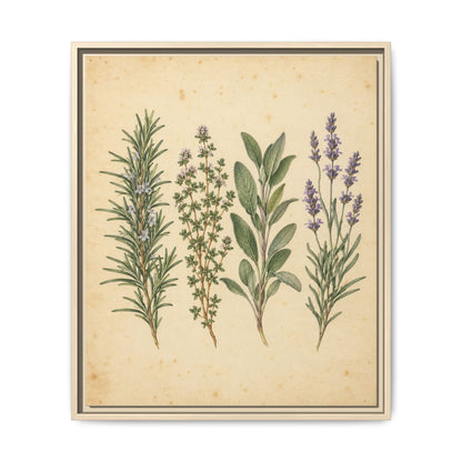 Herb Garden Study · Framed Canvas