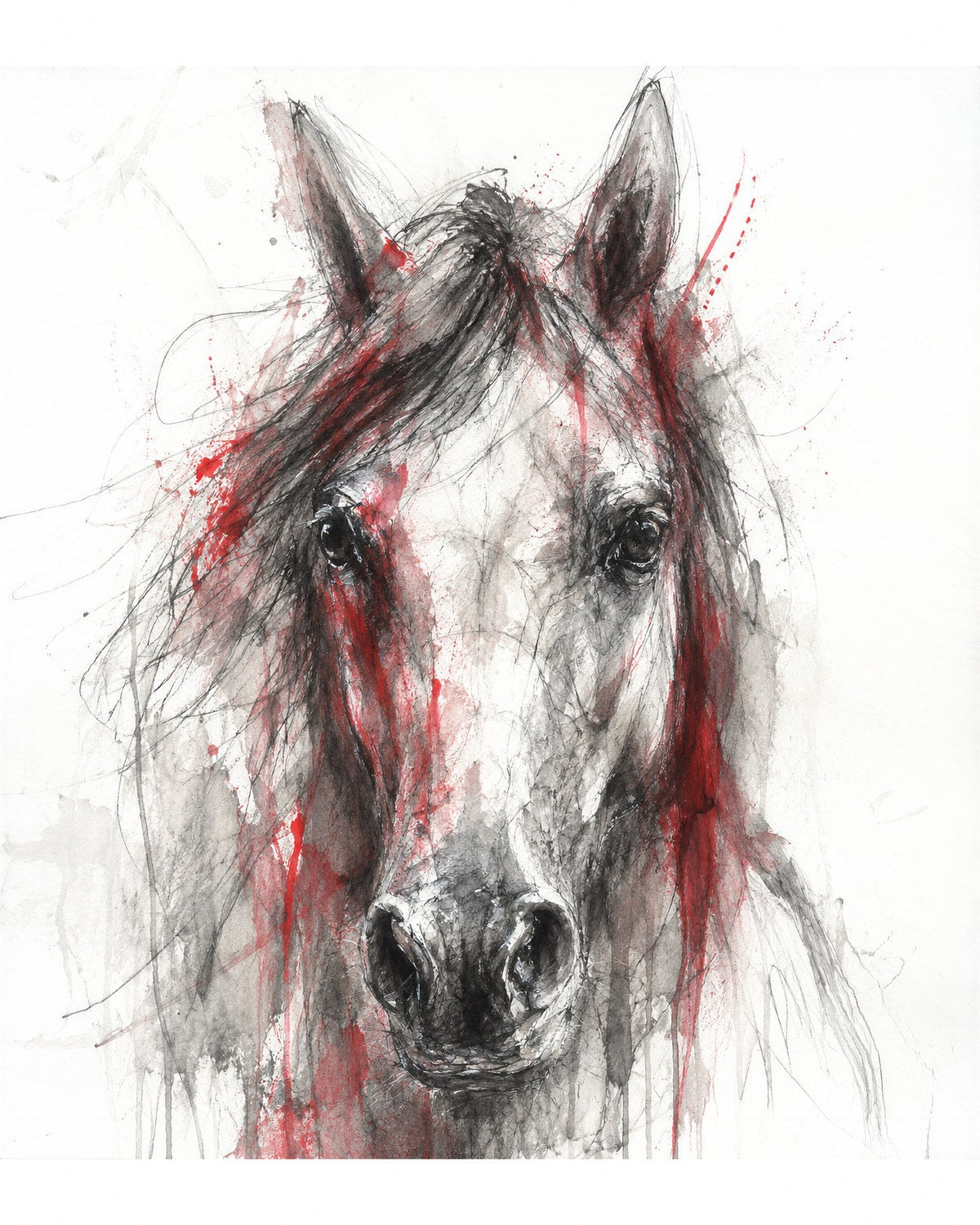 Scarlet Equus by Cassian Rooke, the artwork