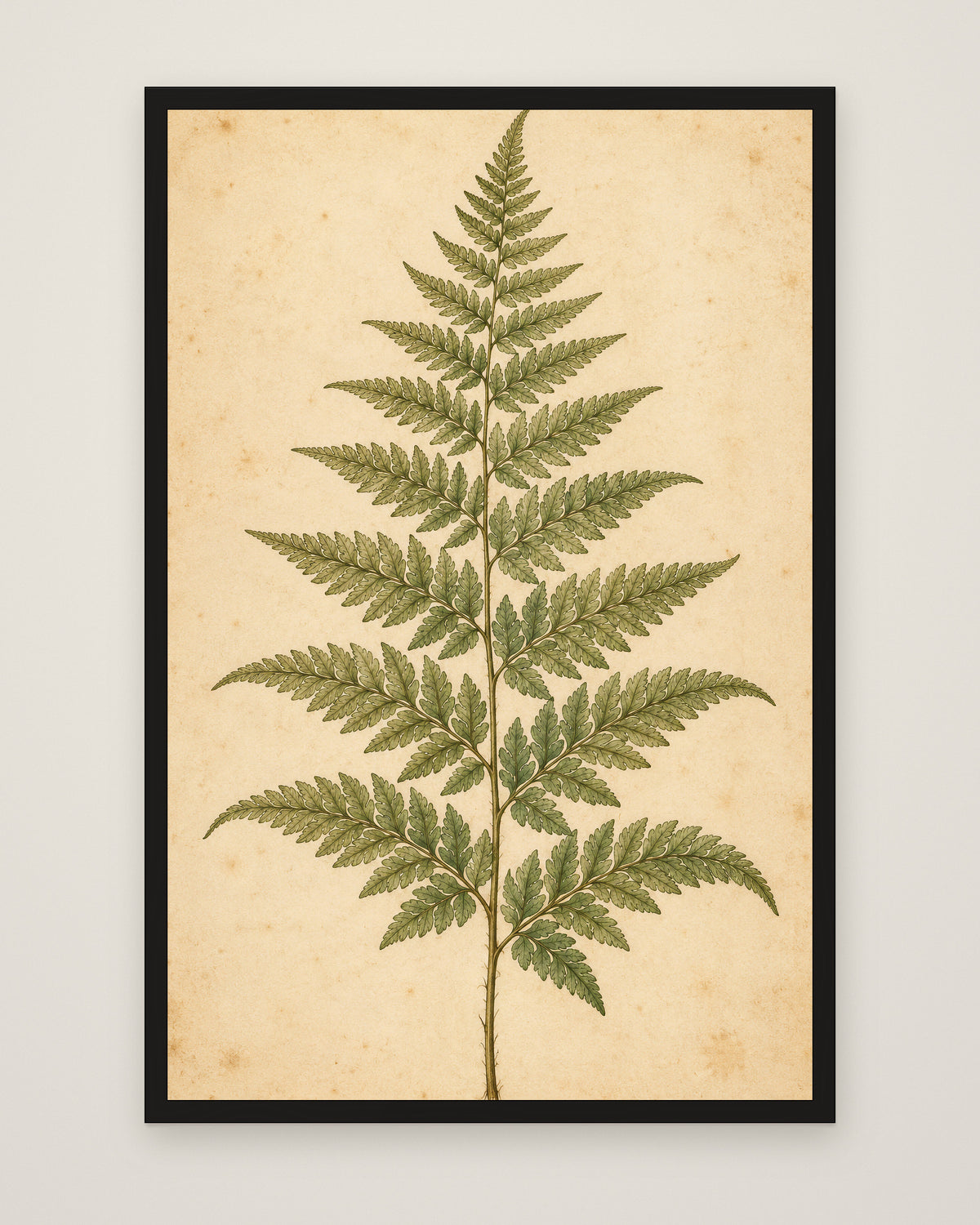 Fern Study by Clementine Hale, Museum Edition framed edge to edge in a black box frame, 60 × 90 cm and 80 × 120 cm