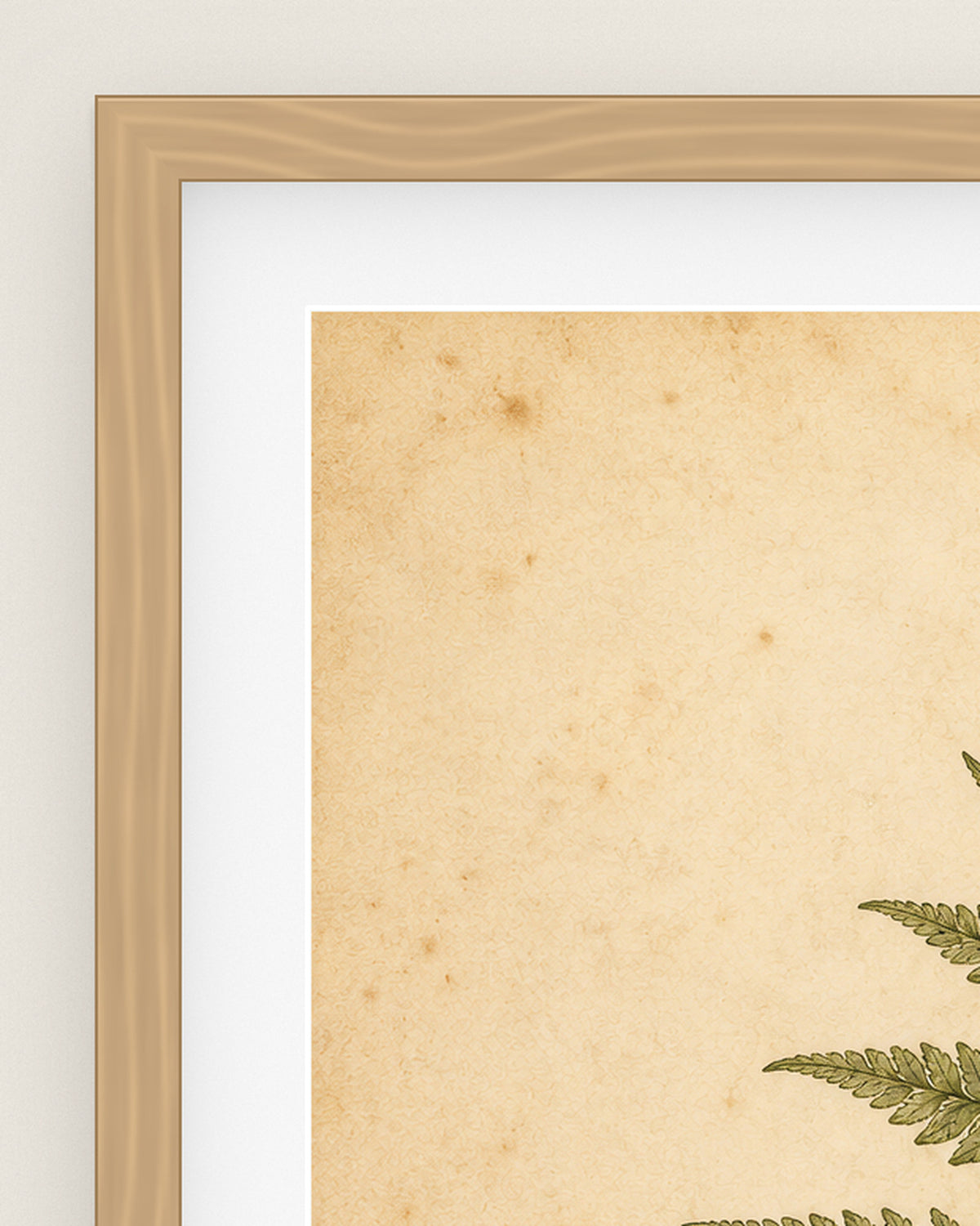 Fern Study Museum Edition, close up of the box frame, bevelled mount and Hahnemühle Photo Rag paper