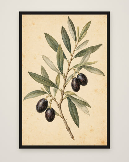 Olive Bough by Clementine Hale, Museum Edition framed edge to edge in a black box frame, 60 × 90 cm and 80 × 120 cm