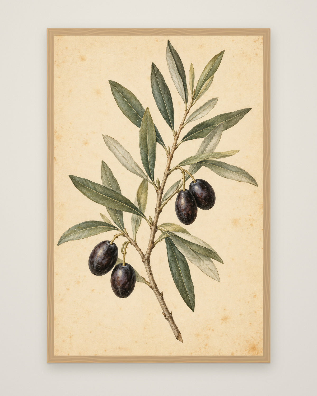 Olive Bough by Clementine Hale, Museum Edition framed edge to edge in a natural box frame, 60 × 90 cm and 80 × 120 cm