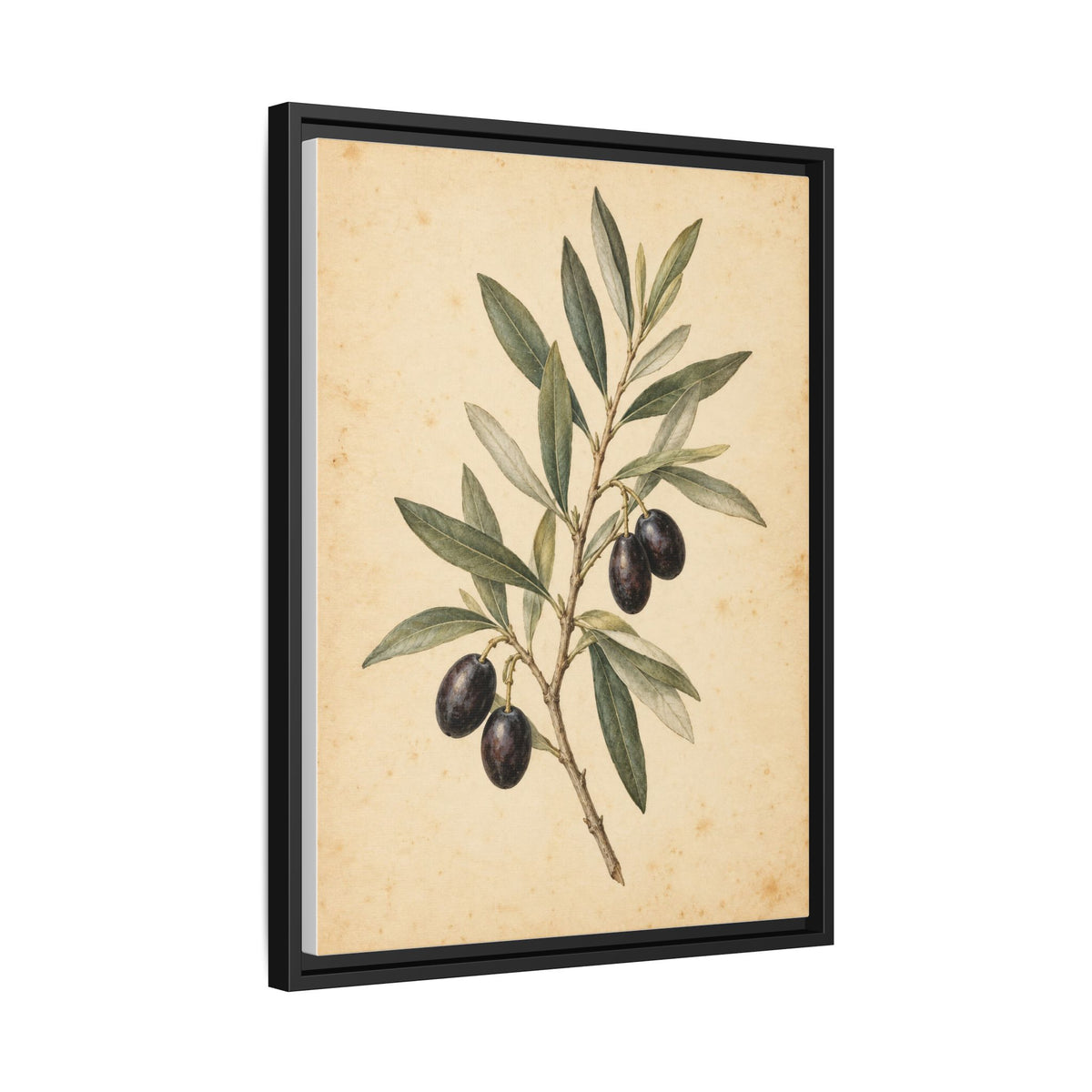 Olive Bough framed canvas side view
