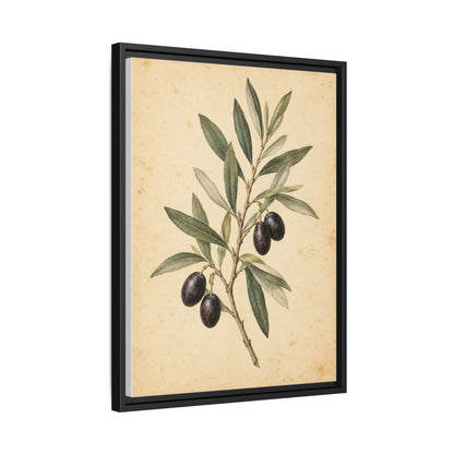 Olive Bough framed canvas side view