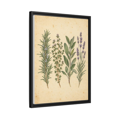 Herb Garden Study framed canvas side view