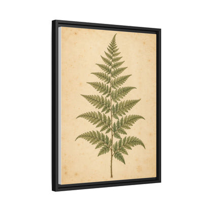 Fern Study framed canvas side view
