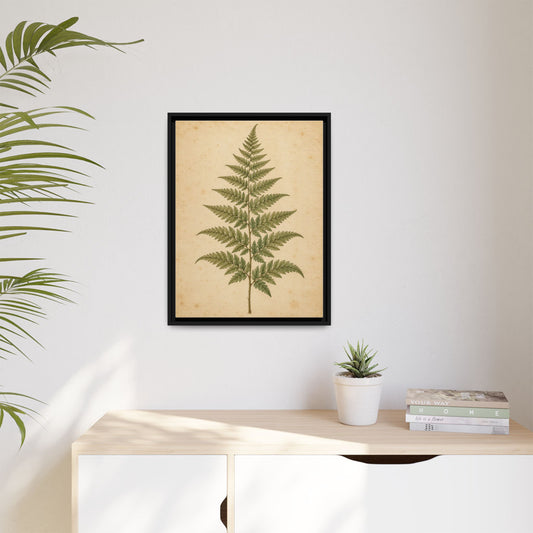 Fern Study framed canvas in a room